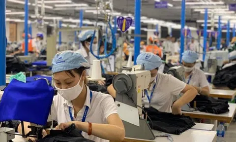 Bộ Nội vụ yêu cầu doanh nghiệp báo cáo lương thưởng Tết trước 25/12