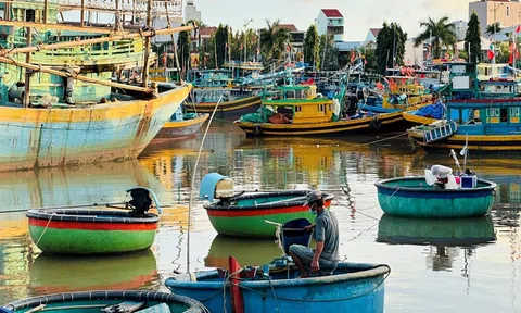 Nam Trung Bộ khẩn trương cấm biển và sơ tán dân ứng phó bão Koto