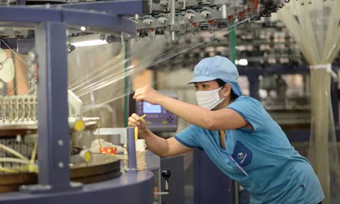 Dệt may Việt Nam tăng tốc tự chủ nguồn sợi để vượt rào cản xuất xứ