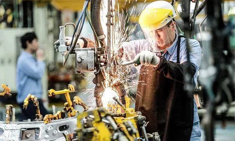 Vốn tăng kỷ lục, doanh nghiệp hiện hữu tạo lực đẩy cho thị trường 11 tháng 2025