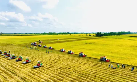 Hoàn thiện thể chế nông nghiệp, môi trường để giải phóng nguồn lực phát triển