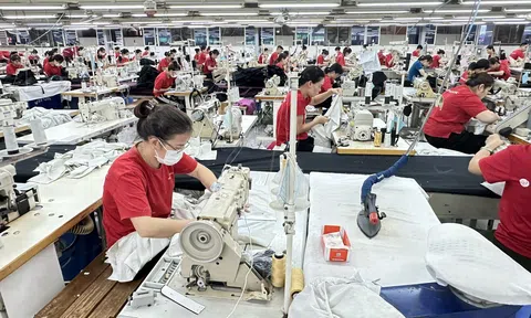 Dệt may Việt Nam 2025: Xuất khẩu tăng tốc, vững vàng trong nhóm dẫn đầu thế giới