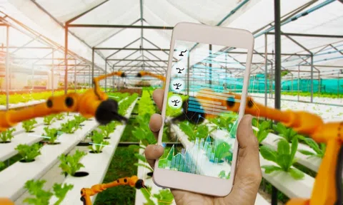 Hệ thống truy xuất nguồn gốc đi vào vận hành: Minh bạch hàng hóa, nâng chuẩn quản lý thị trường