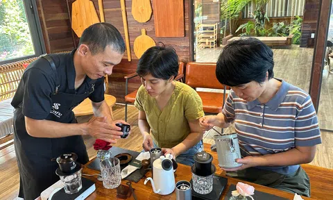 Đắk Lắk: Cà phê chất lượng cao thiếu bàn tay chuyên nghiệp