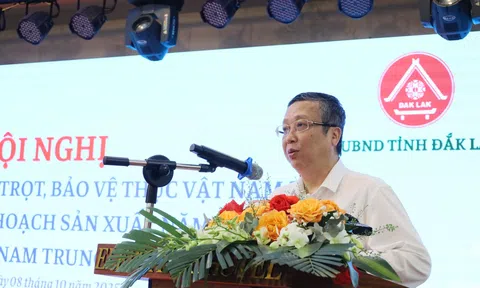 Thứ trưởng Hoàng Trung đề nghị các địa phương kiểm soát tốt việc phát triển các loại cây ăn quả