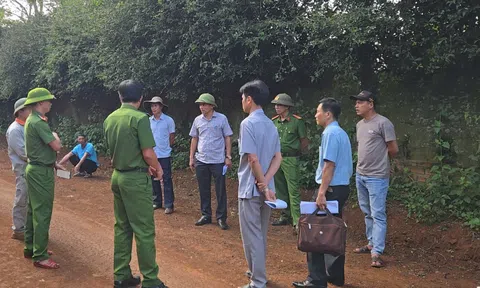Cơ quan chức năng kiểm tra hiện trường vụ lấy đi hơn 2.000m3 đất