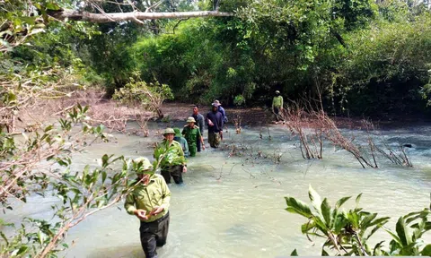 Đắk Lắk: Siết chặt quản lý, lập lại trật tự trong sử dụng đất và bảo vệ rừng