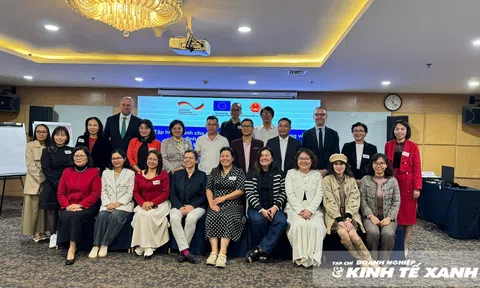 Hướng tới chuỗi cà phê xanh: Bài toán EUDR