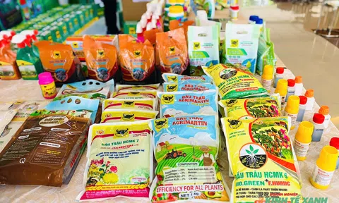 “Gieo mầm” giải pháp ‘nông nghiệp đô thị’: Doanh nghiệp đóng vai trò trọng yếu