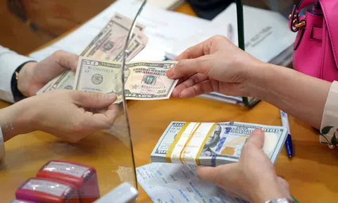 “Biến động của đồng tiền Việt Nam nghiêng nhiều về yếu tố mùa vụ”