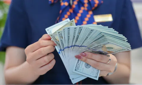Tỷ giá trung tâm vượt mốc 24.000 VND, ngân hàng đồng loạt tăng giá USD