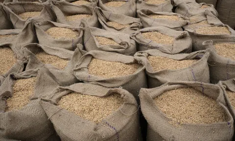 Quy định cấm xuất khẩu gạo của Ấn Độ ảnh hưởng đến toàn châu Á