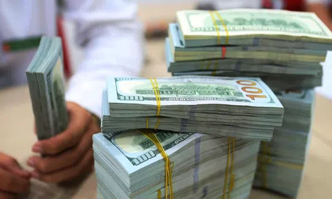 Tỷ giá USD/VND tiếp tục giảm mạnh