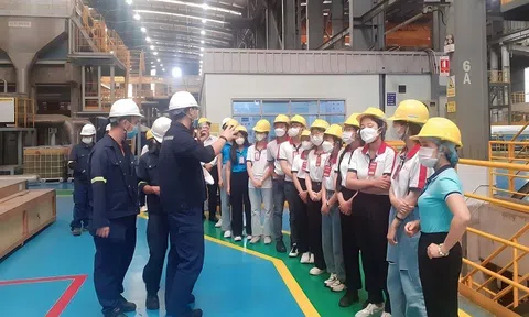 Học bổng “SCG Sharing The Dream năm 2023” dành cho học sinh, sinh viên toàn quốc lên đến 2,7 tỷ đồng