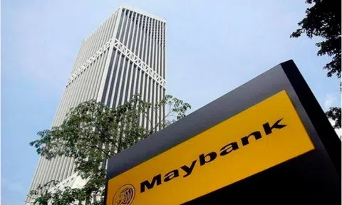 MSVN nâng dự báo tăng trưởng GDP năm 2023, kỳ vọng thị trường đã tạo đáy