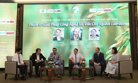 Giải pháp ngăn tối đa thất thoát sau thu hoạch lúa gạo