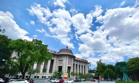 Việt Nam trở lại danh sách giám sát về ngoại hối, Ngân hàng Nhà nước nói gì?