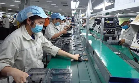 Các địa phương cần khẩn trương xây dựng kế hoạch phục hồi kinh tế trong tình hình mới