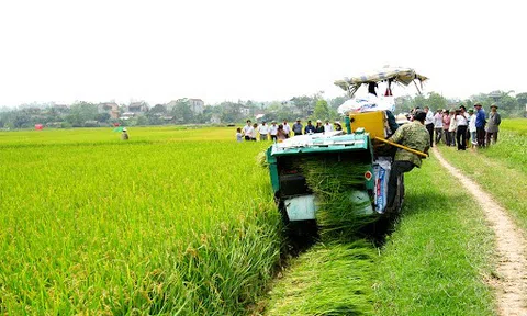 Phú Thọ tạo sức hấp dẫn mới cho đầu tư vào nông nghiệp