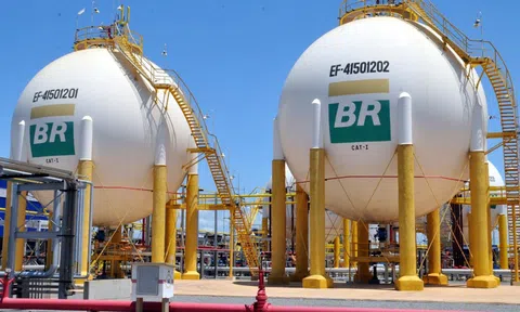 Petrobras cân nhắc tăng giá nhiên liệu bất chấp áp lực từ Chính phủ Brazil