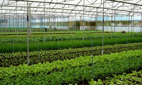 Thái Nguyên tăng ứng dụng công nghệ trong phát triển nông nghiệp