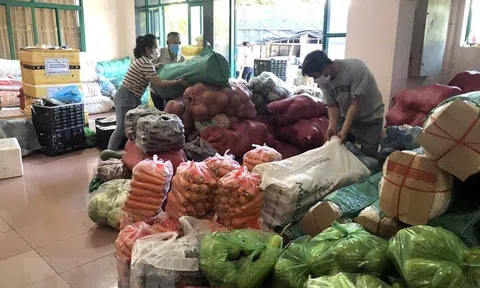 Lâm Đồng ổn định nguồn cung nông sản ra ngoài tỉnh