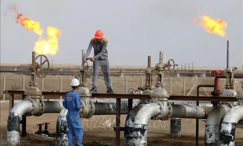 Giá dầu châu Á tăng trong phiên giao dịch chiều 8/10