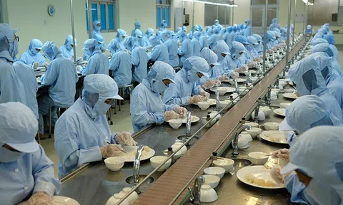 Yến sào Khánh Hòa đảm bảo việc làm cho 5.400 lao động dù khó khăn do dịch COVID-19