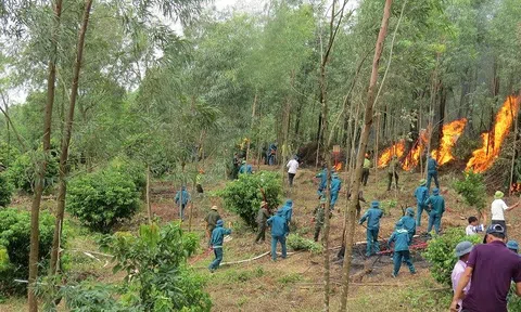 Bắc Giang phòng cháy, chữa cháy rừng mùa khô