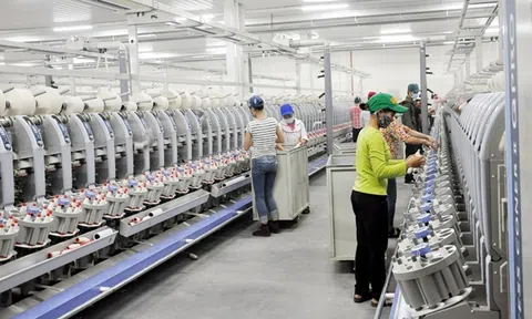 Doanh nghiệp Quảng Ninh vượt "bão" COVID-19