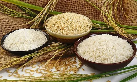 Thị trường nông sản tuần qua: Giá lúa, gạo ổn định