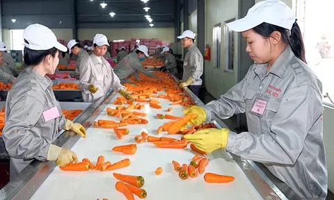 Phát triển các vùng nguyên liệu nông, lâm sản phục vụ công nghiệp chế biến