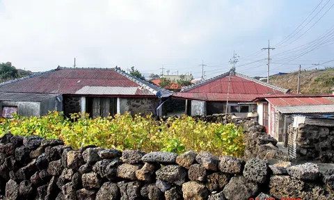 Nhà nông Hàn Quốc gặp khó khăn do thiếu lao động nhập cư