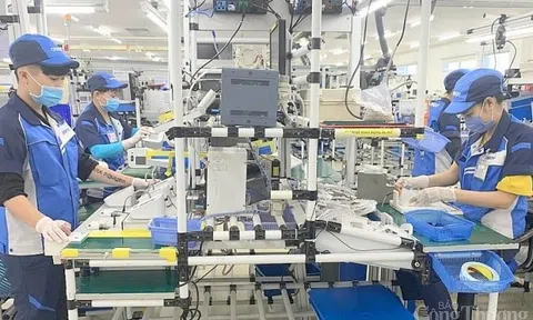 Nghị quyết 128/NQ-CP: Doanh nghiệp chuyển sang “3 xanh” để thích ứng tình hình mới