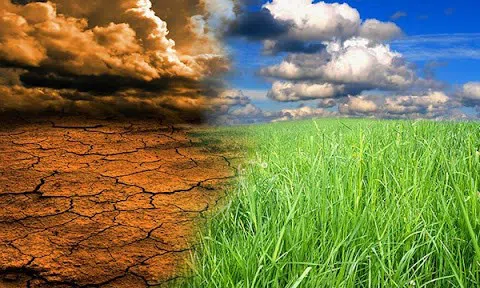 Nga: Biến đổi khí hậu là ưu tiên hàng đầu