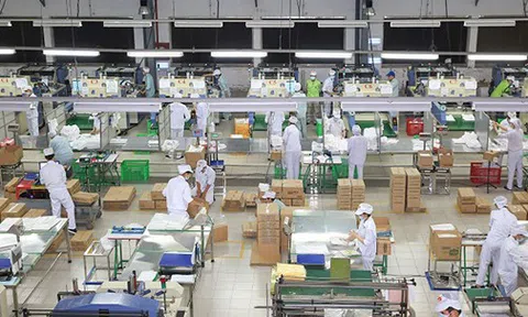 Doanh nghiệp sản xuất thực phẩm xuất khẩu vào Trung Quốc cần đăng ký gấp