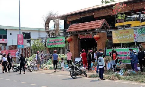 Hòa Bình kết nối, tiêu thụ nông sản trong bối cảnh dịch