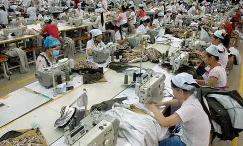 Đồng Nai còn 56 doanh nghiệp chưa hoạt động trở lại