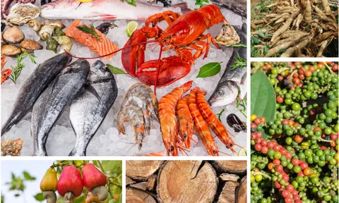 Xuất khẩu nông, lâm, thủy sản tăng trên 13%