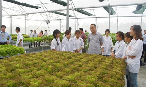 Nhân lực chất lượng cao -  lợi thế lớn để phát triển nông nghiệp thông minh