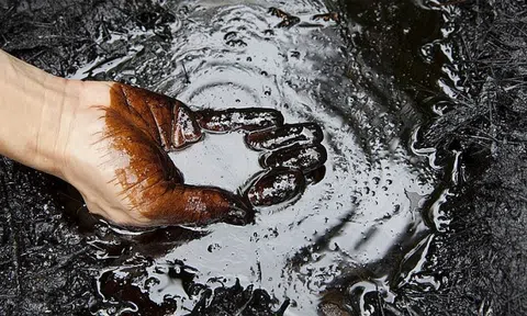 Liệu OPEC+ có tăng mạnh sản lượng để bình ổn giá dầu?