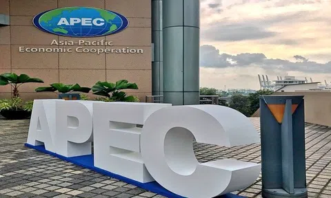APEC khẳng định cam kết ứng phó với cuộc khủng hoảng dịch COVID-19