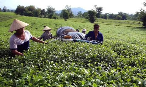 Phú Thọ mở rộng thị trường, tạo dựng chỗ đứng cho hàng Việt