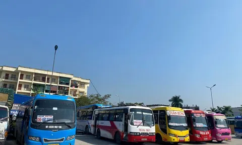 Dịch COVID-19: Hải Phòng khôi phục vận tải hành khách đến Quảng Bình, Đắc Lắk