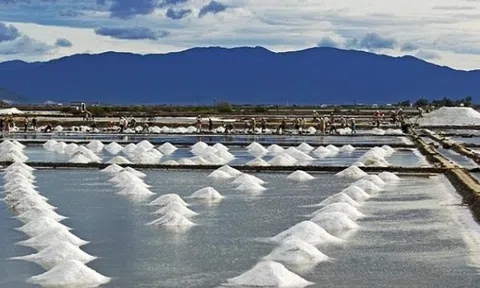 Nâng cao giá trị sản phẩm và phát triển nghề muối truyền thống