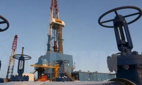 Giá dầu châu Á ổn định trở lại trong phiên 11/11