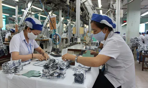 Trên 84% doanh nghiệp sản xuất tại Cần Thơ đã hoạt động trở lại