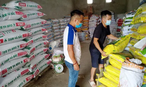 Giá phân bón tăng cao khiến nông dân lo lắng cho vụ mùa cuối năm