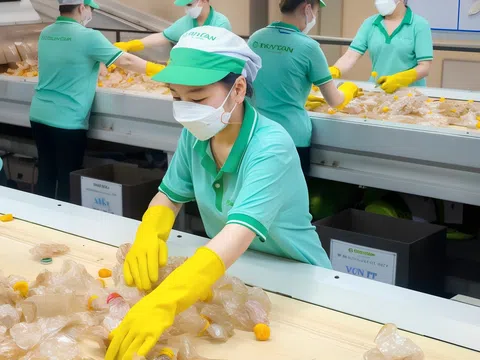 Sức bền của doanh nghiệp giữa sóng xanh toàn cầu