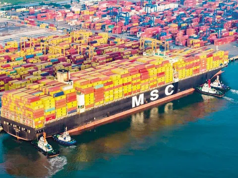 “Hải trình” vươn tới tương lai từ xanh hóa cảng biển